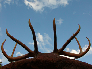 Elk antlers grace the main entrance of the ACES home
