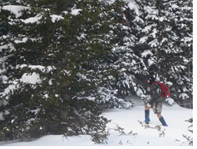 Cody in Winter Wonderland