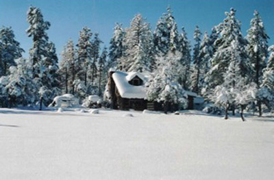 Winter Wonderland Course