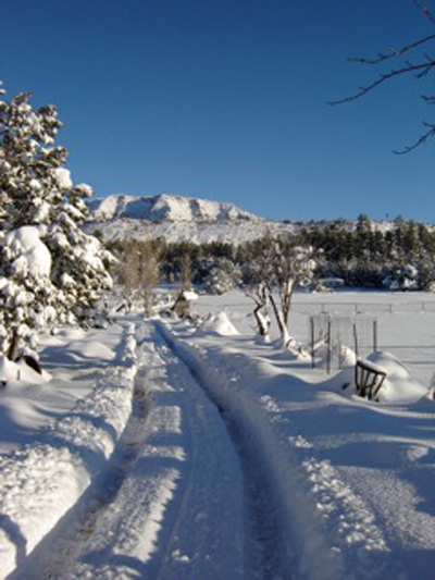 Rim country in March.