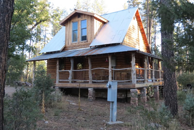 Gino Cabin
