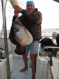 About to toss a tuna head to a Great White shark