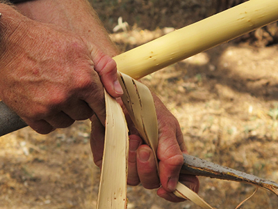 Stripping willow bark to use as binding material.