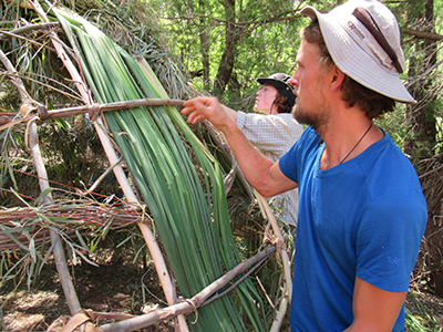 Thatching a shelter framework with cattail.