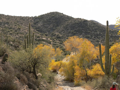 Cody at his home outside Prescott, AZ