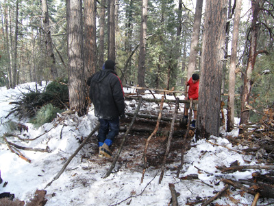 The makings of a Super Shelter.